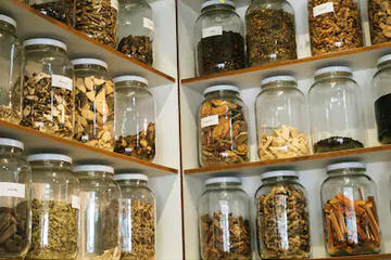 What is Herbal Medicine?